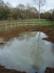 New pond