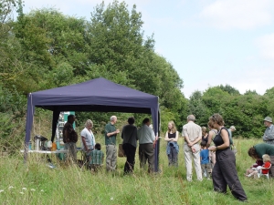 Pond opening