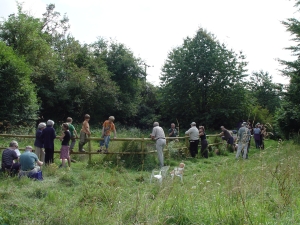 Pond opening