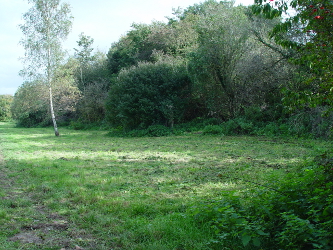 Site for new pond