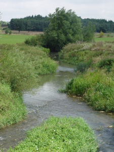 River Evenlode from the bridge at Chadlington