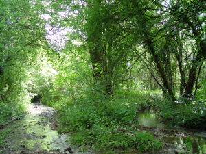 Footpath 2 crosses Watery Lane - Copyright Christine Elliott