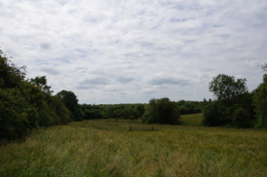 Unimproved grassland alongside source of River Glyme