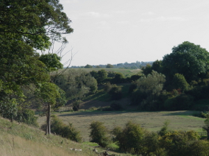 Jubilee Fields Wootton by Woodstock